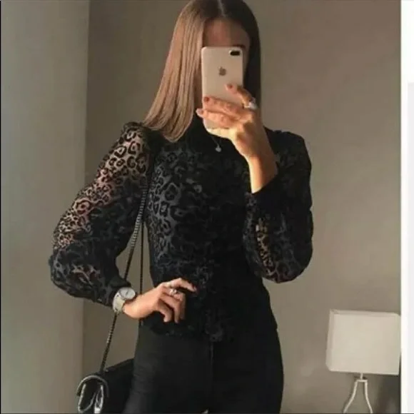 Zara NWT organza blouse - Picture 3 of 10